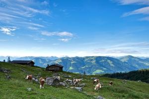 Wandern und Weitwandern auf der Kaiserkrone - Hochalm c) TVB Wilder Kaiser Tirol, Marion Bichler