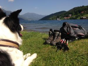 Wandern mit Hund am Alpe Adria Trail (c) Trail Angels GmbH